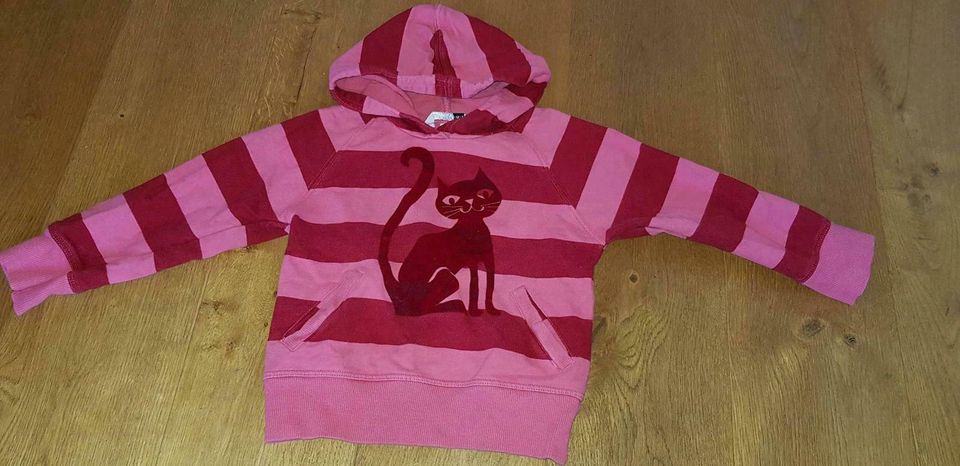 H&M Hoodie Kapuzenpulli mit Samtkatze Gr.110 in Michelstadt