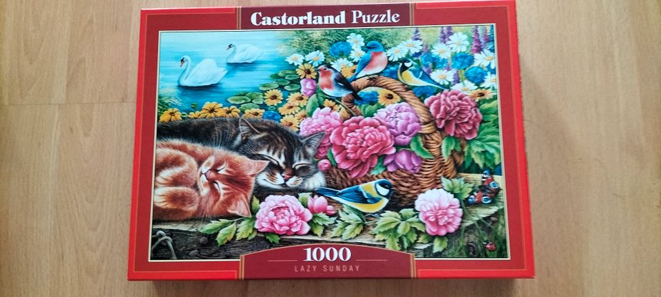 Castorland - Puzzle Hobby in Sigmaringen