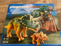 Playmobil Dinos Set 5234 mit Karton Rheinland-Pfalz - Gimbsheim Vorschau