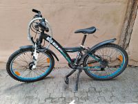 Fahrrad gebraucht 24" Baden-Württemberg - Teningen Vorschau