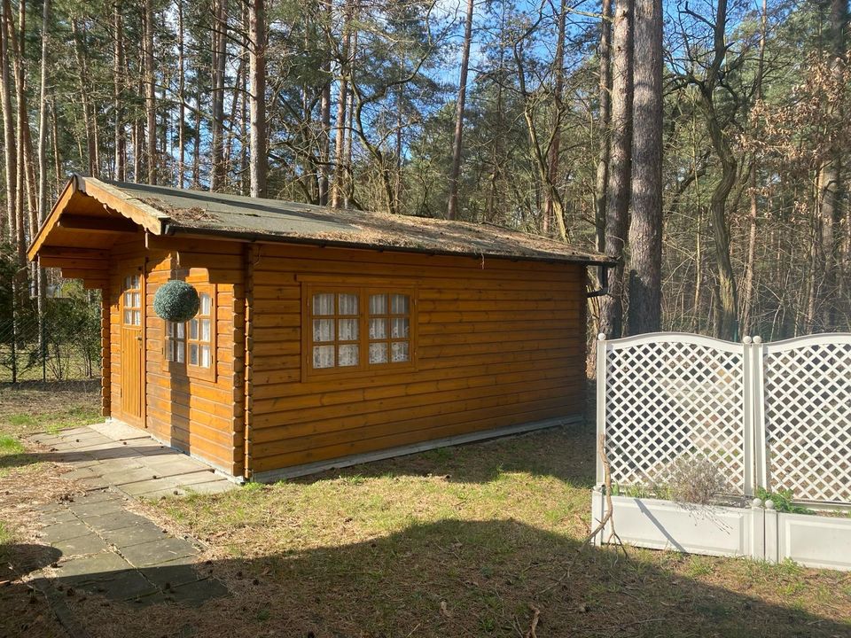 EFH mit Einliegerwg. In 14547 Beelitz OT Fichtenwalde zu verk. in Beelitz