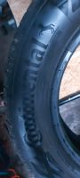 Reifen Continental 205/60 R16H 92H Ecocontact  6 Sommerreifen Niedersachsen - Sande Vorschau