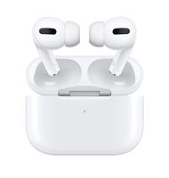 Apple AirPods Pro Rheinland-Pfalz - Trier Vorschau