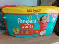 Pampers Baby sry Pants Gr. 5 12-17kg 48 stück Big Pack Niedersachsen - Zetel Vorschau