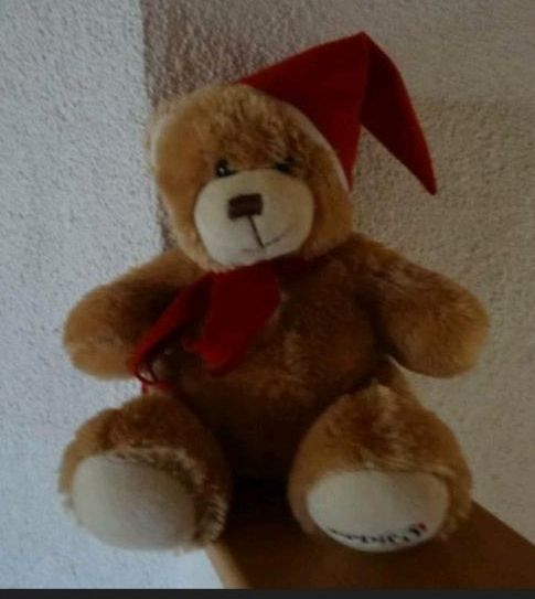 Teddybär mit Weihnachtsmütze in Merdingen
