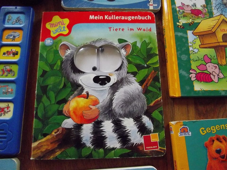 Kinderbücher Kindergarten  Fahrzeuge / Gucklochbuch / Tierbücher in Lichtenau