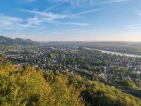 1000€ Belohnung für die hilfe Bonn - Bad Godesberg Vorschau