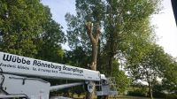 Baumfällung, Sturmschadenbeseitung, Baumpflege Niedersachsen - Winsen (Luhe) Vorschau