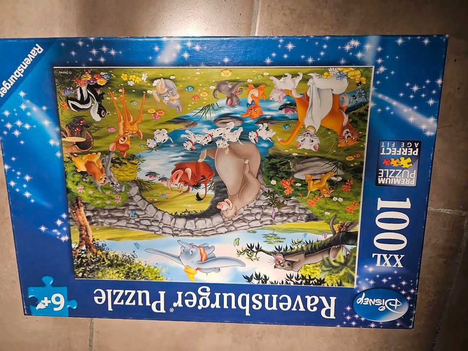 Disney Puzzel in Freren