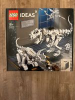 Lego Ideas 21320 Dinosaurier Fossilien NEU OVP EOL Nordfriesland - Bredstedt Vorschau