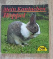 Pixi-Buch alt 666, Mein Kaninchen Hoppel, 3. Auflage 1996 Bayern - Augsburg Vorschau