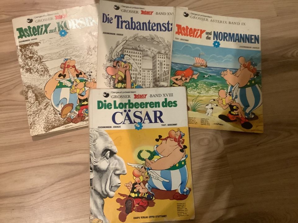 Asterix und Obelix Comics 23x in Amt Neuhaus