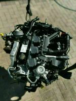 Engine Motor Ford 1.0 EcoBoost M1DA M1DB 28.736 Tkm KOMPLETT Leipzig - Eutritzsch Vorschau