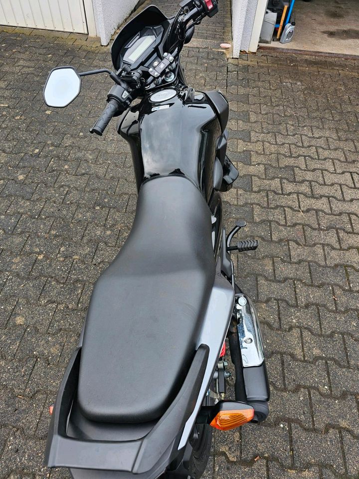 Honda CB 125 F in Limburg