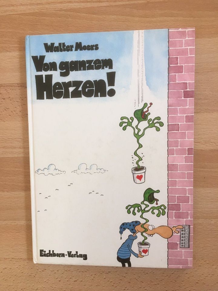 Sieben verschiedene  Bücher von Walter Moers in Aschaffenburg