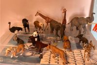 Schleich Konvolut Elefant, Giraffe, Zoo, Tiere etc. Pferde Niedersachsen - Garbsen Vorschau