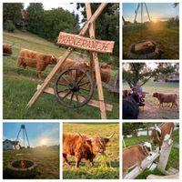 Kindergeburtstag auf dem Bauernhof Bayern - Kirchheim in Schwaben Vorschau