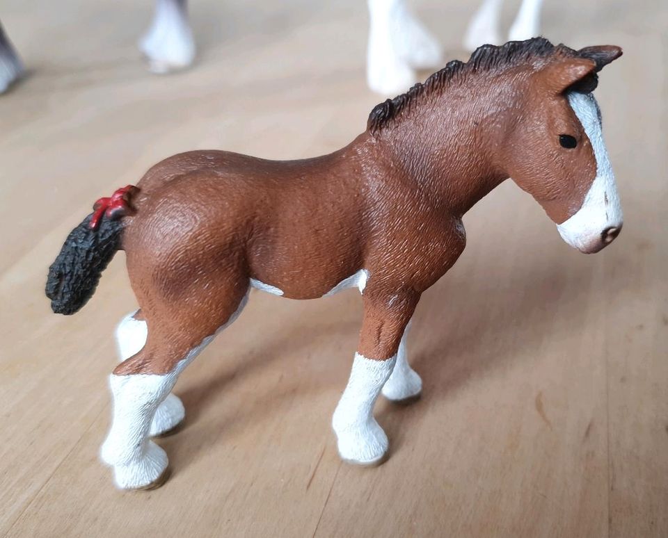 Schleich Horse Club Pferde, Dressur, mit Zubehör in Hallbergmoos