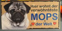 Holzschild,  Schild, Hund  Mops, NEU Düsseldorf - Rath Vorschau