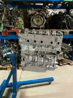 Motor VW T5 2.5 TDI AXD Generalüberholt Brandenburg - Groß Kreutz Vorschau