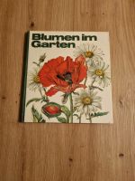 Blumen im Garten Brandenburg - Strausberg Vorschau