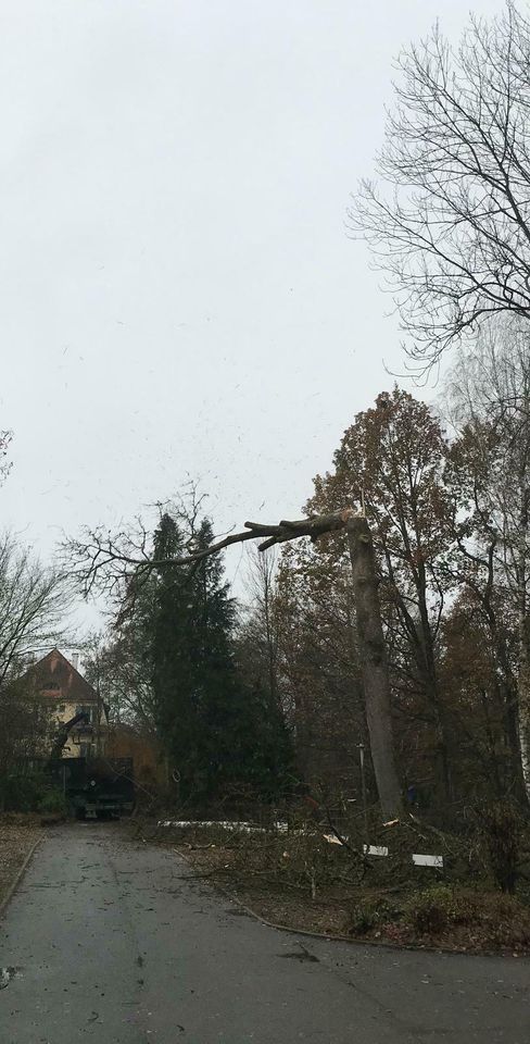 Baumfällung, Rodungen, Wald- & Forstarbeiten, Landschaftpflege in Bad Schussenried