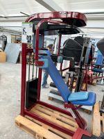 Nautilus second Gen Old School no Gym80 Cybex Flex Paramount Hessen - Seligenstadt Vorschau