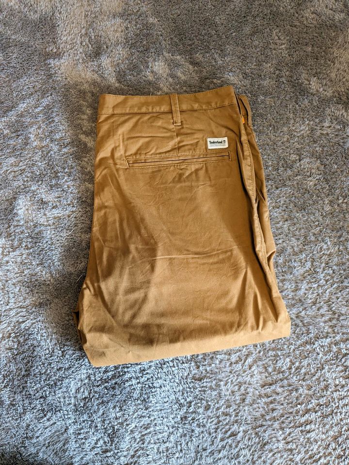 Timberland Chino in Khaki in Mönchengladbach