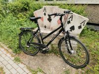 Gudereit  LC 30 Damen Trekking-Rad Trapez 53 Nordrhein-Westfalen - Hattingen Vorschau