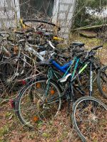 Fahrrad Fahrräder Bayern - Landshut Vorschau