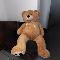 XXL Riesen Großer Teddy Bär Geschenk Nordrhein-Westfalen - Gronau (Westfalen) Vorschau