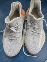 yeezy boost 350 v2 tail light Nordrhein-Westfalen - Erkelenz Vorschau