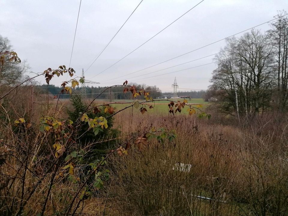 Bezauberndes EFH in idyllischer Alleinlage in Teising