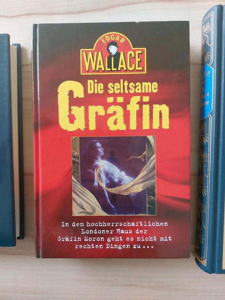 Bücher: Alfred Hitchcock, Edgar Wallace, Karl May in Engen