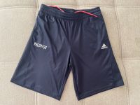 Adidas Predator Shorts Training Sportshorts blau Gr. 176 Bayern - Alzenau Vorschau