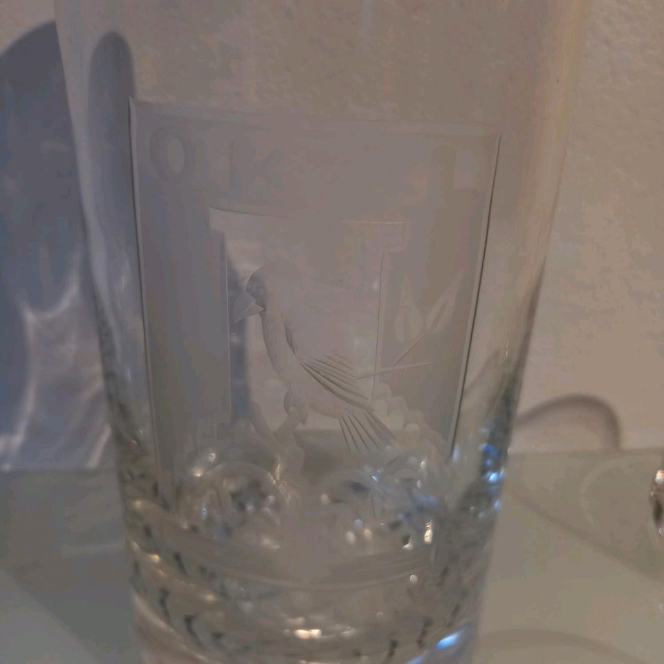 Glas set mit Flasche in Bleckede