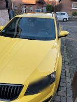 Skoda Octavia Kombi ABT 300ps Nordrhein-Westfalen - Steinfurt Vorschau