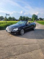 Mercedes Benz ClK 320 Cabrio Nordrhein-Westfalen - Lemgo Vorschau