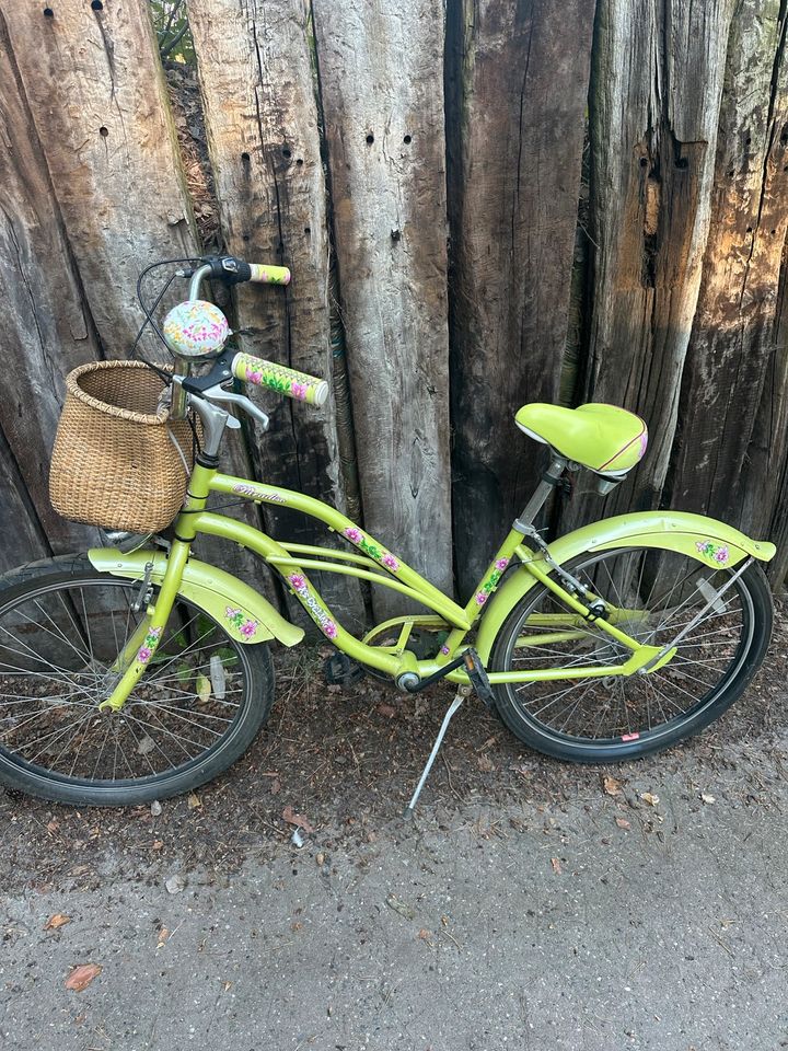 Damen Fahrrad ❤️ 26  Zoll ❤️ in Gifhorn