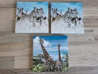 3 kleine Leinwand Bilder Giraffe Zebra blau 18x18 cm Nordrhein-Westfalen - Werl Vorschau