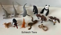 Schleich Tiere, Preise auf den Bildern Baden-Württemberg - Markdorf Vorschau