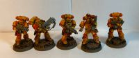 5 Intercessors Space Marines Warhammer Nordrhein-Westfalen - Solingen Vorschau