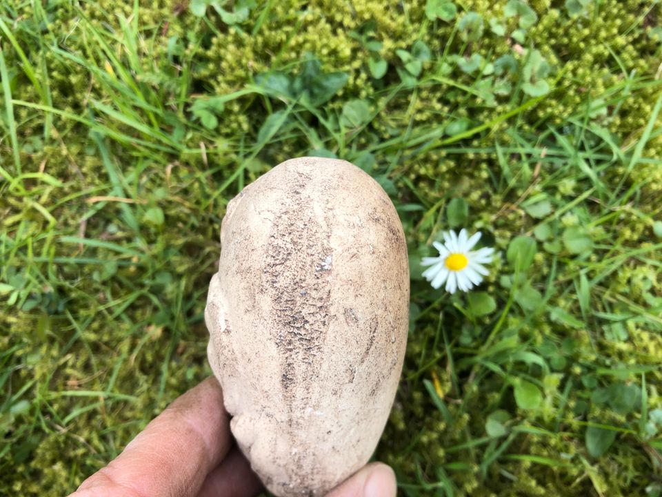 Blumendeko Blechtöpfe Blumentopf Herz Ente Gartendeko ❤️❤️❤️ in Detmold