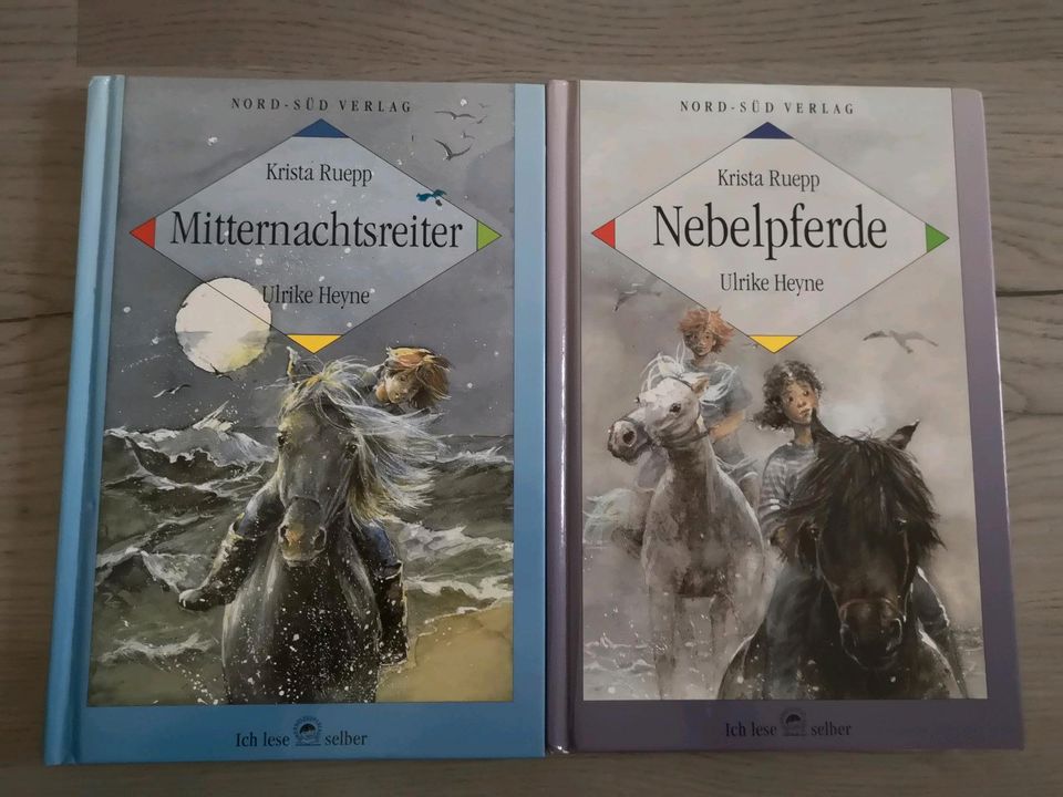 Ulrike Heyne - Nebelpferde Mitternachtsreiter in Sauensiek