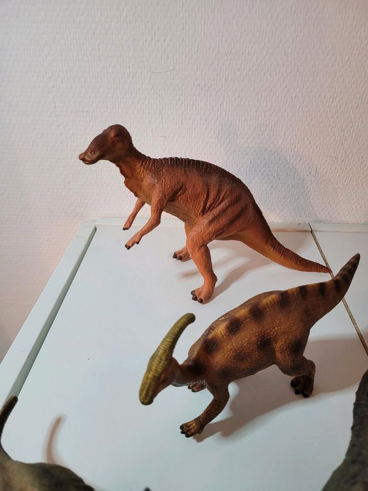 Schleich, Dinosaurier, Tiere, T-Rex, 18 Stück in Frankfurt am Main