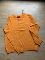 Pulli Orange Baden-Württemberg - Brühl Vorschau