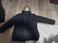 Winterjacke gr 50 Sachsen-Anhalt - Salzwedel Vorschau