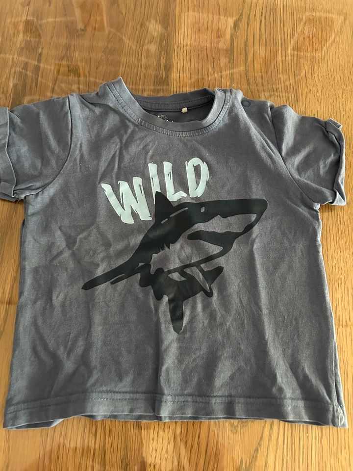 Topomini Set T-Shirt kurze Hose Hai Wild in Erlangen