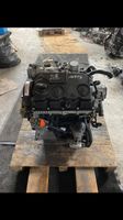 BLS 1.9tdi 105PS 154000km VW Motor Komplett Audi Seat Skoda West - Sindlingen Vorschau