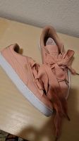 PUMA Basket Schuhe Gr. 41 Baden-Württemberg - Pfinztal Vorschau